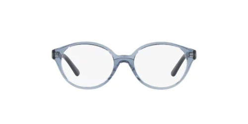 2977 - Transparent Blue frame / Clear lenses