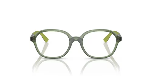 3067 - Transparent Dark Green frame / Clear lenses