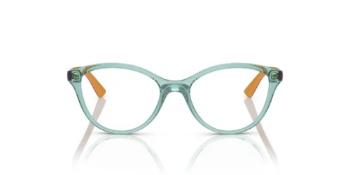 3032 - Transparent Sage frame / Clear lenses