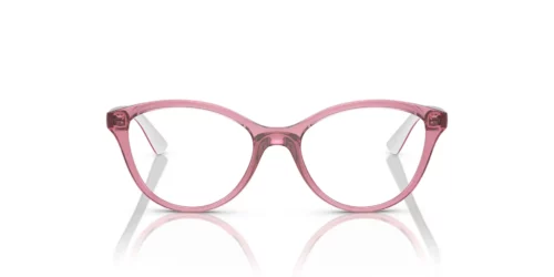 3065 - Transparent Purple frame / Clear lenses