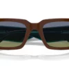 Arnette AN4318 Brown / Fifty Brown/Blue