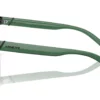 Arnette AN4319 Black / Green Mirror Green