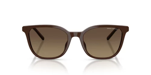 8402T5 - Shiny Dark Brown frame / Yellow/Brown lenses
