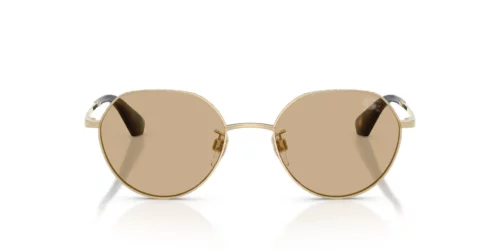 Burberry  BE3173D Tmavě hnědá na EyeWearThese