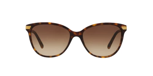 300213 - Mörk Havana-båge / Bruna tonade linser
