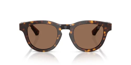 420573 - Dark Havana frame / Dark Brown lenses
