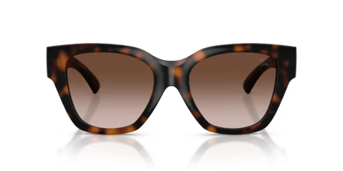 300213 - Dark Havana frame / Brown Gradient lenses