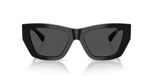 300187 - Black frame / DARK GREY lenses