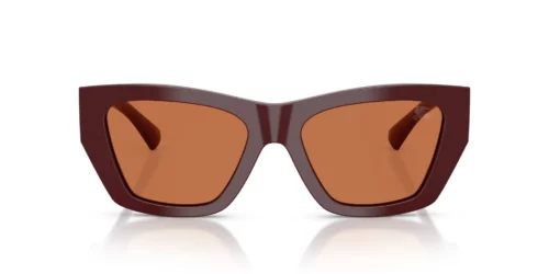 411973 - Bordeaux frame / Brown lenses