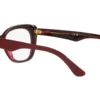 Dolce & Gabbana  DG3360 Bordeaux/Transparent Bordeaux Frame