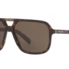 Dolce & Gabbana  DG4354 Brown Gradient Dark Brown