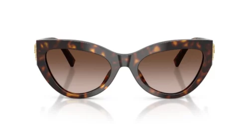 502/13 - Havana frame / Gradient Brown lenses