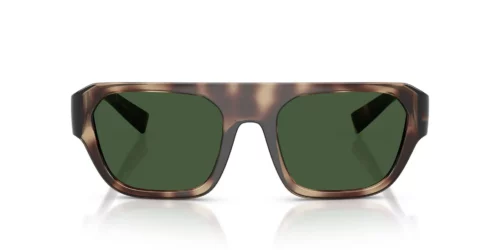 344482 - Brown Havana frame / DARK GREEN lenses
