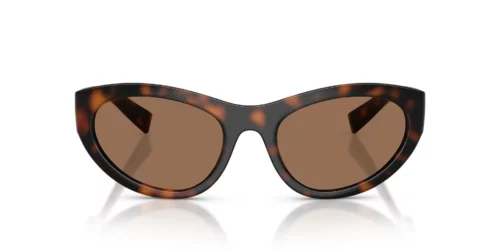 Dolce & Gabbana  DG6207 Dark Brown at EyeWearThese