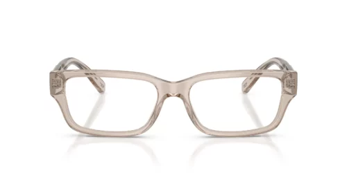 Diesel DL4002 Transparent Taupe Rahmen