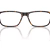 Diesel  DL4006 Havana Frame