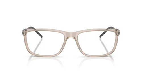 Diesel DL4006 Transparent Taupe Rahmen