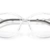 Diesel  DL4007 Shiny Crystal Frame