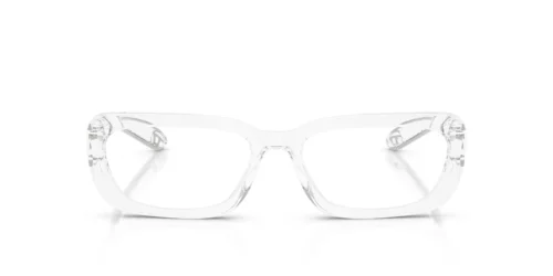 Diesel  DL4012 Transparent Crystal Frame at EyeWearThese