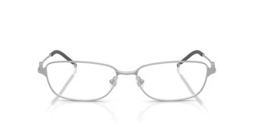 Diesel  DL5002 Matte Silver Frame
