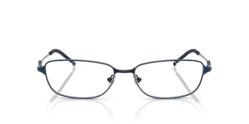 1024 - Brushed Antique Blue frame / Clear lenses