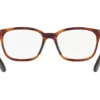 Emporio Armani Kids  EK3003 Shiny Havana Frame