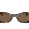 Miu Miu  MU06ZS Dark Brown