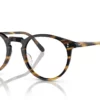 Oliver Peoples O'Malley OV5183 Clear