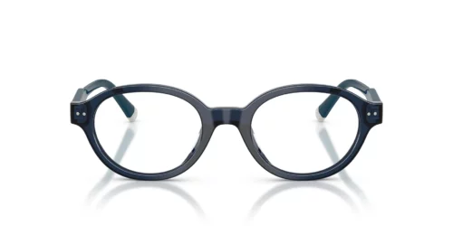 5955 - Shiny Transparent Navy Blue frame / Clear lenses