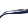 Polo Ralph Lauren PP9501 593580