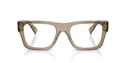 22H1O1 - Transparent Bark frame / Clear lenses