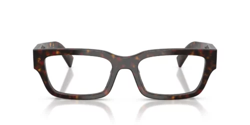 17N1O1 - Root Tortoise frame / Clear lenses