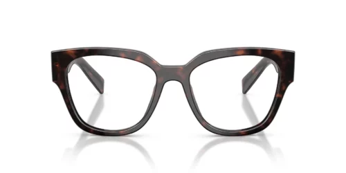 17N1O1 - Root Tortoise frame / Clear lenses