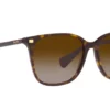 Ralph RA5293 Havane foncé brillant / Brun dégradé
