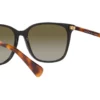 Ralph RA5293 Shiny Black / Gradient Green