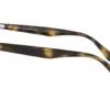 Ray-Ban  RB2180 B-15 Brown