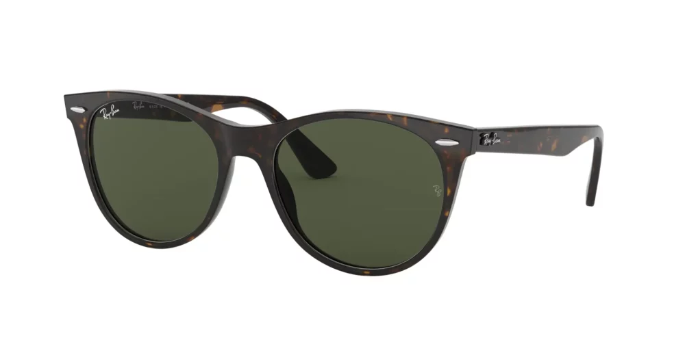 Ray-Ban Wayfarer Ii RB2185 902/31
