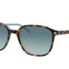 Ray-Ban Leonard RB2193