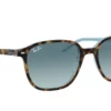 Ray-Ban Leonard RB2193