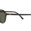 Ray-Ban Thalia RB2195 902/31