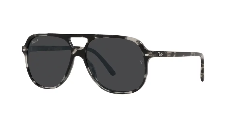 Ray-Ban Bill RB2198 Polarizační 133348