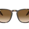 Ray-Ban  RB2203 Light Brown