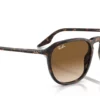 Ray-Ban  RB2203 Light Brown