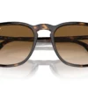 Ray-Ban  RB2203 Light Brown