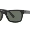 Ray-Ban Mr Burbank RB2283 G-15 Grøn