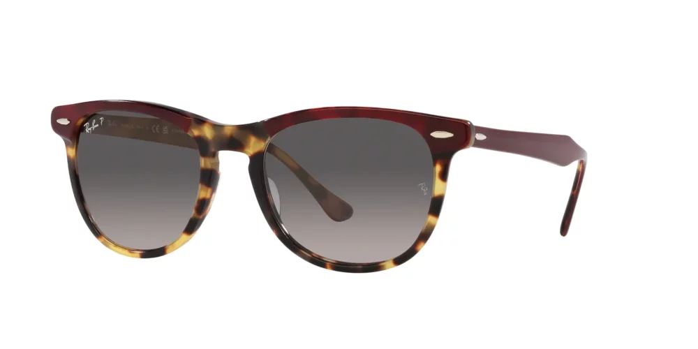Ray-Ban Eagle Eye RB2398 Polarizační brýle