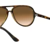 Ray-Ban Cats 5000 RB4125 710/51