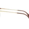 Ray-Ban Erika RB4171 Bruin Gradiënt Polar