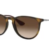 Ray-Ban Erika RB4171 Hnědá