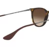Ray-Ban Erika RB4171 Hnědá